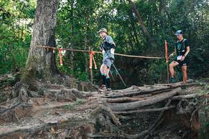 BIB: 
                            <button type="button" onclick="openModal(27753774)" class="btn btn-primary btn-sm float-right btn-popup" data-toggle="modal" data-target=".modal-high-quality">
                        <i class="fas fa-shopping-cart"></i> Add to Cart
                    </button>
                                            <button type="button" onclick="isThisMe(27753774, true)" class="btn btn-success btn-sm float-right btn-popup btn-isme hidden" data-toggle="tooltip" data-placement="bottom" title="นี่คือรูปของคุณใช่ไหม คลิกที่นี่เพื่อเอาเข้าอัลบั้ม">
                        <i class="fas fa-plus"></i> Add to album
                    </button>
                    <button type="button" onclick="isThisMe(27753774, false)" class="btn btn-warning btn-sm float-right btn-popup btn-isnotme hidden">
                        <i class="fas fa-ban"></i> Remove from album
                    </button>